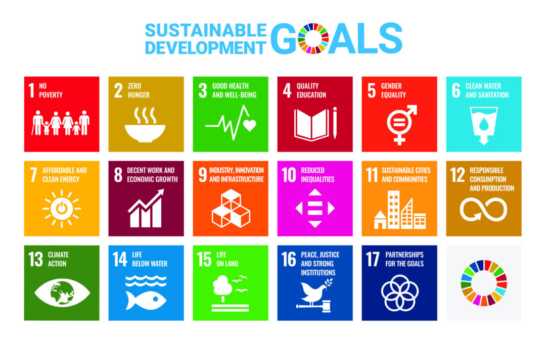 E SDG Poster 2019_without UN emblem_PRINT
