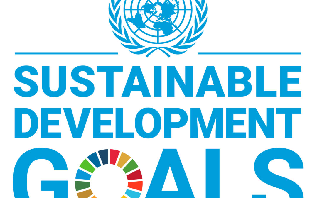 E_SDG_logo_UN_emblem_square_WEB