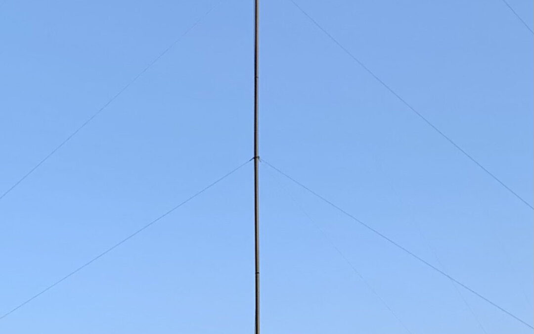 MLV-1